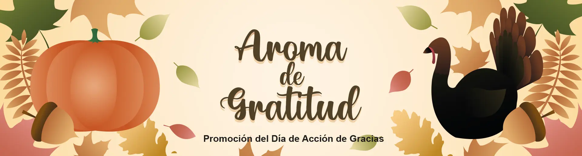 Promo_accion_gracias