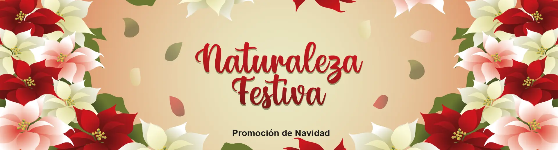 Promo_navidad